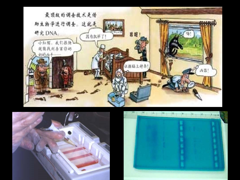遗传信息的携带者---核酸.ppt_第1页