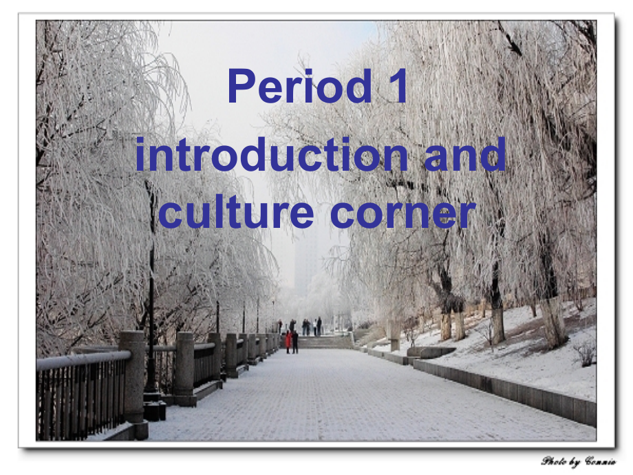 Introduction-CulturalCorner终结版.ppt_第2页