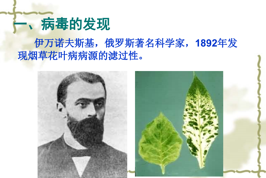 初中二年级生物上册第五单元第五章病毒课件.ppt_第2页
