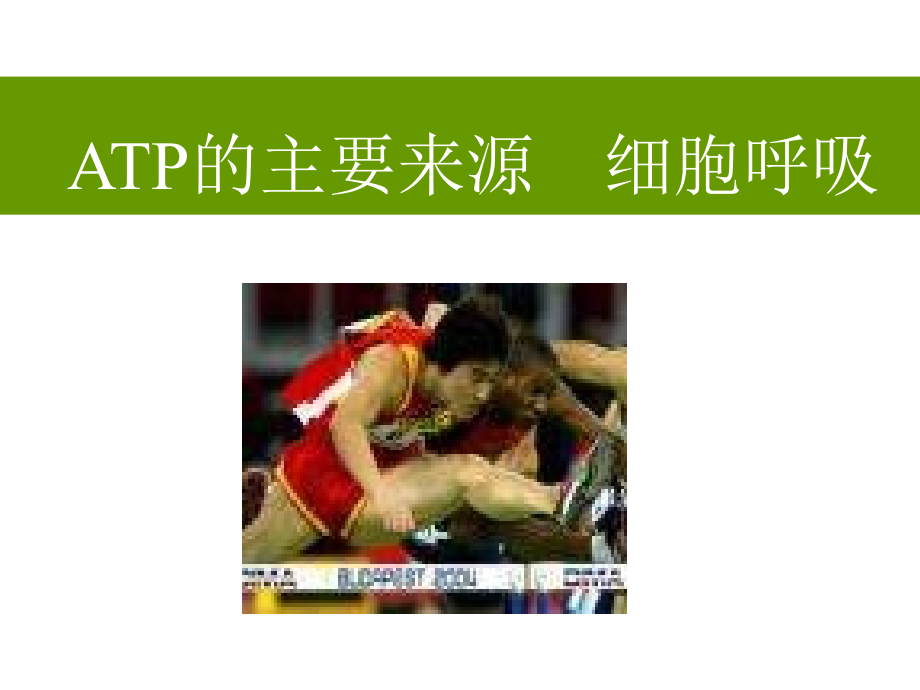第三节细胞呼吸.ppt_第1页