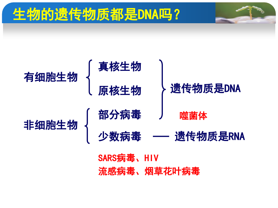 第八节课遗传信息的携带者-核酸.ppt_第2页