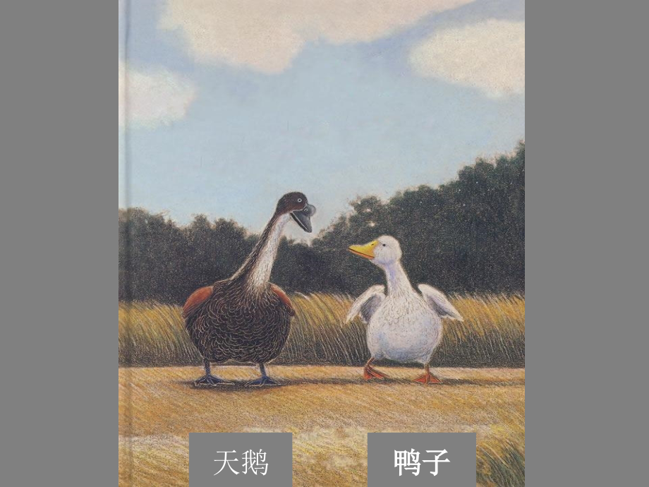 大班语言：一根羽毛也不能动.ppt_第2页