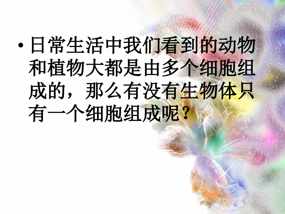 七年级生物《单细胞生物》课件.ppt_第1页