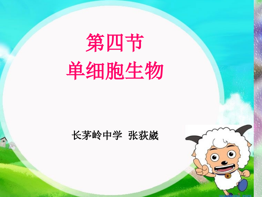 七年级生物《单细胞生物》课件.ppt_第2页