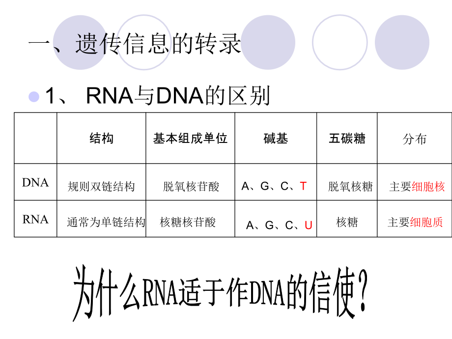 第一节基因指导蛋白质合成（第一课时）.ppt_第2页