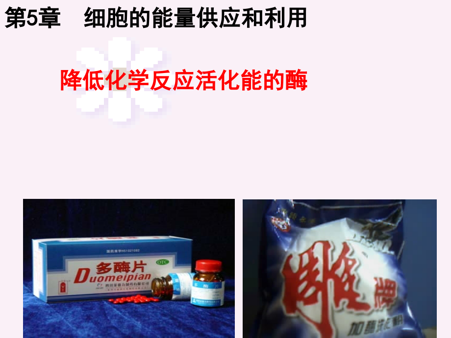 降低化学反应活化能的酶一.ppt_第2页