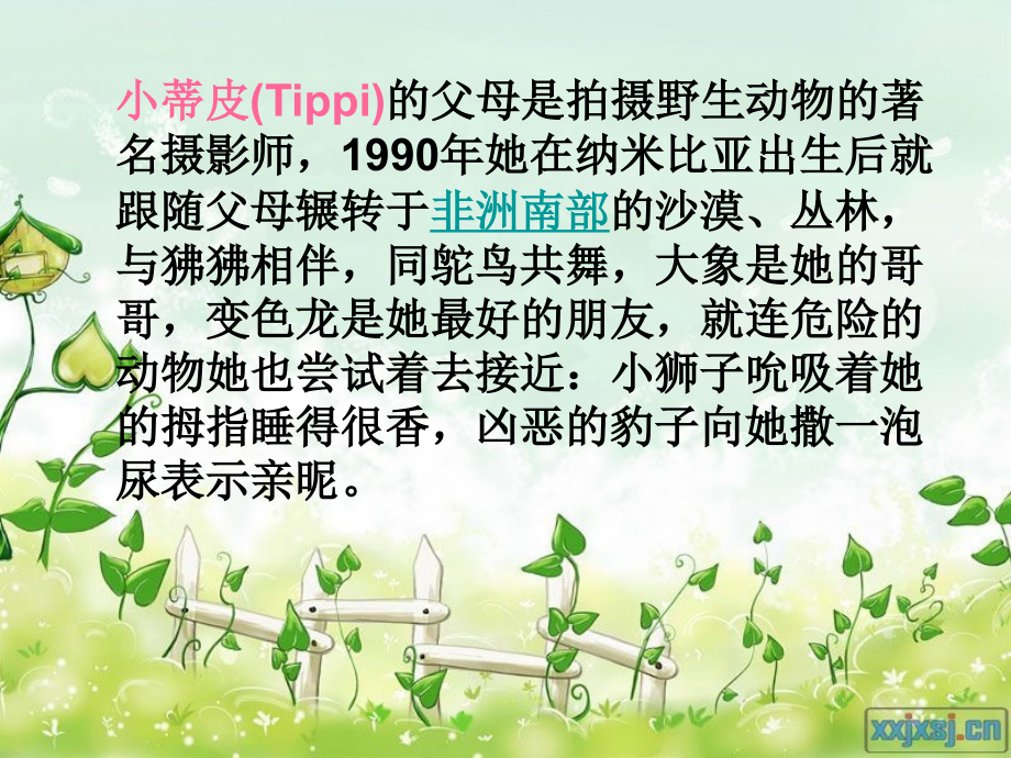 野生动物朋友.ppt_第2页