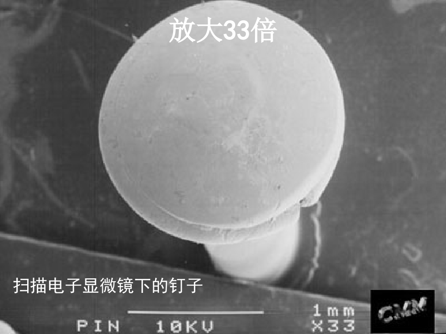 第二节细菌PPT.ppt_第2页