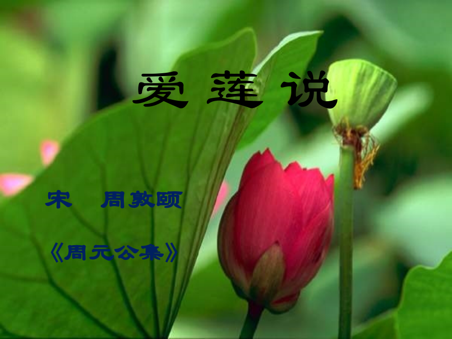 《短文两篇(爱莲说、陋室铭)》课件.ppt_第2页