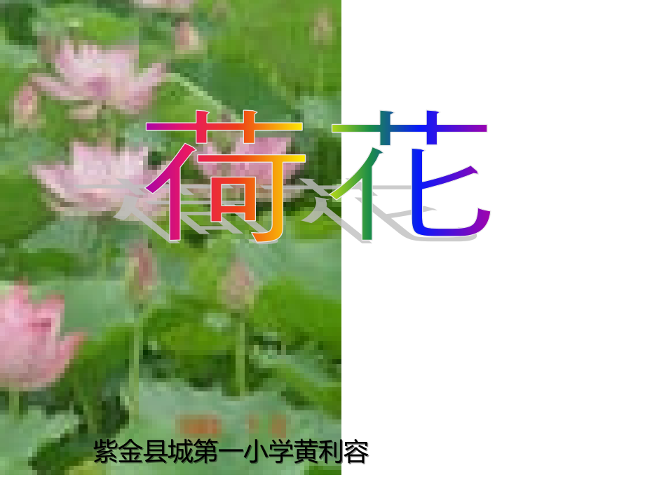 人教版三年级语文下册《荷花》课件PPT.pptx_第1页