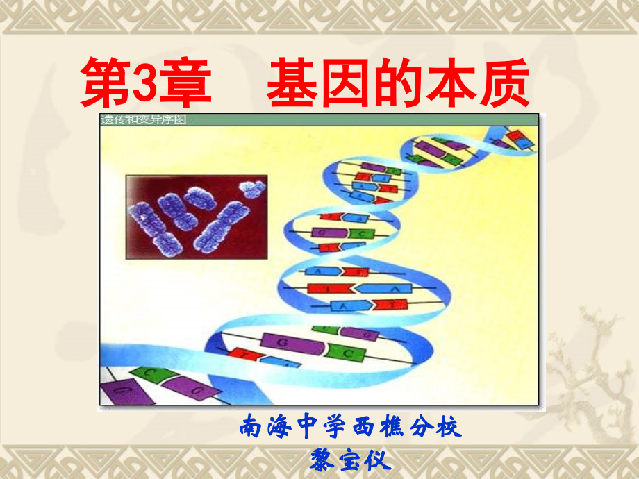 DNA是主要的遗传物质-人教版原创.ppt_第2页