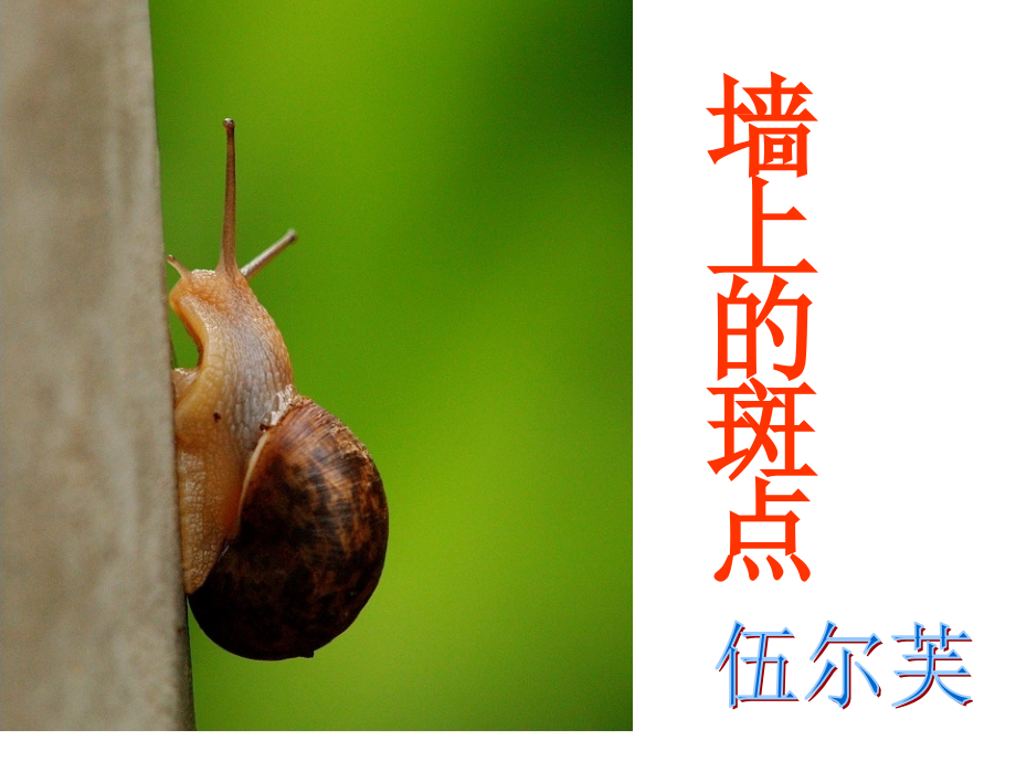 《墙上的斑点》.ppt_第1页