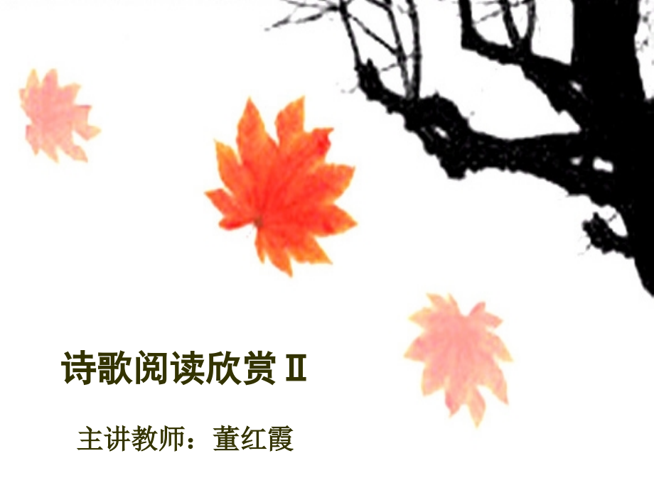 诗歌阅读欣赏.ppt_第2页