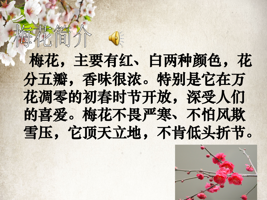 五年级语文梅花魂.ppt_第2页