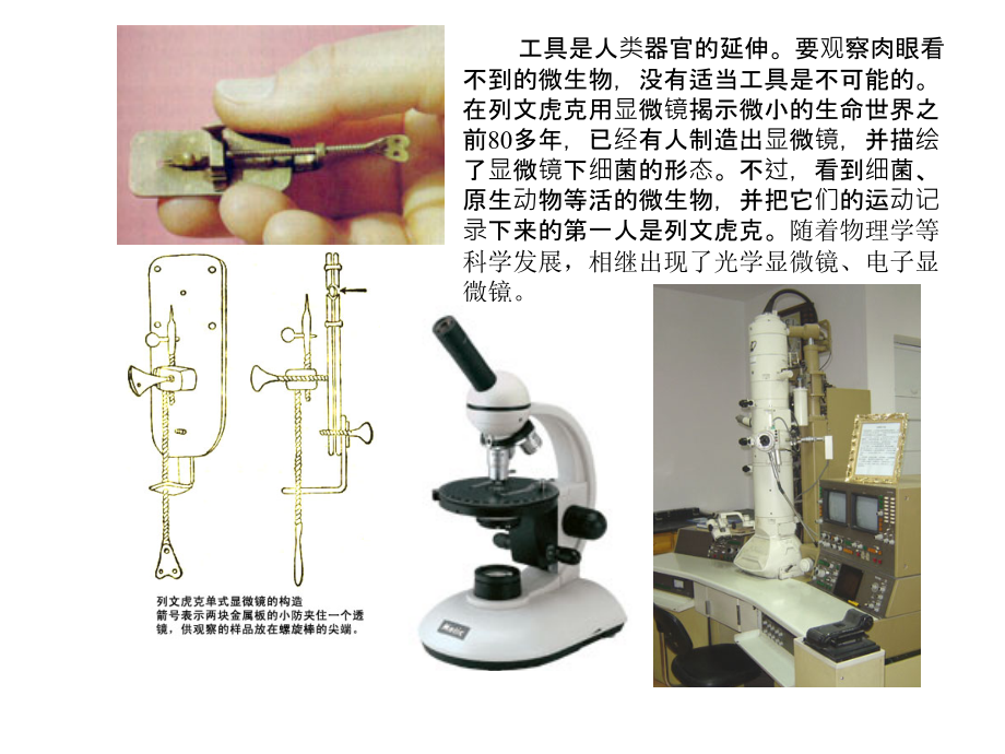 六年级科学显微镜下的世界.ppt_第2页
