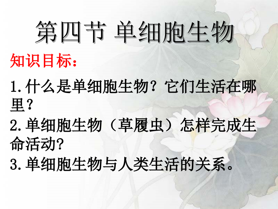 第四节单细胞生物.ppt_第2页