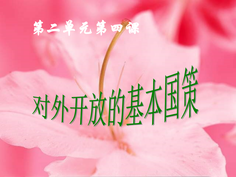 对外开放的基本国策.ppt_第1页