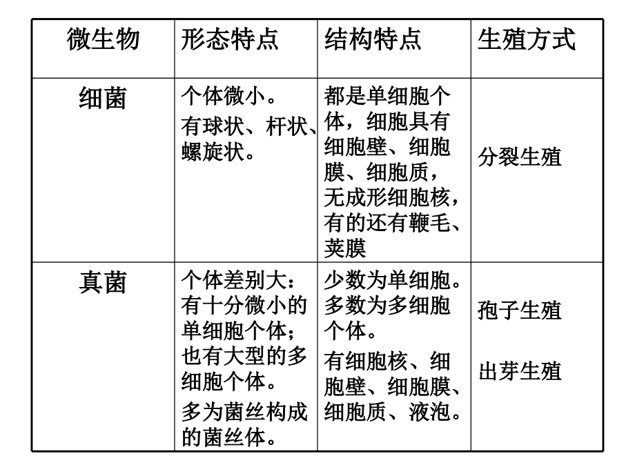细菌真菌知识点.ppt_第2页