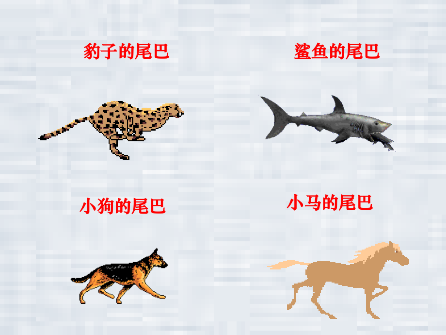 如果人类也有尾巴.ppt_第2页