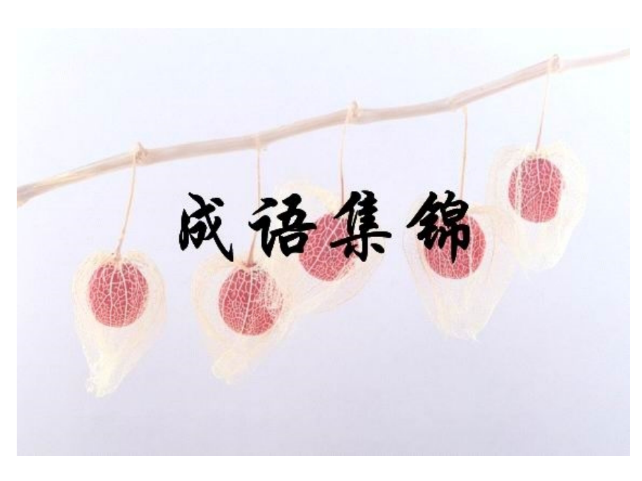 八年级下成语病句练习积累.pptx_第1页