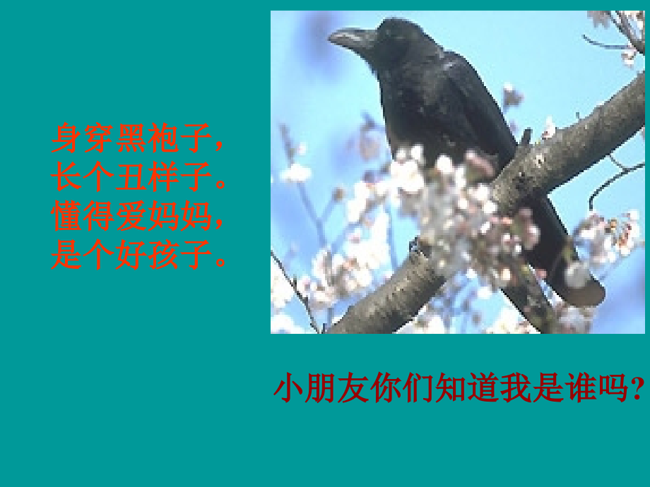 乌鸦喝水课件修改.ppt_第1页
