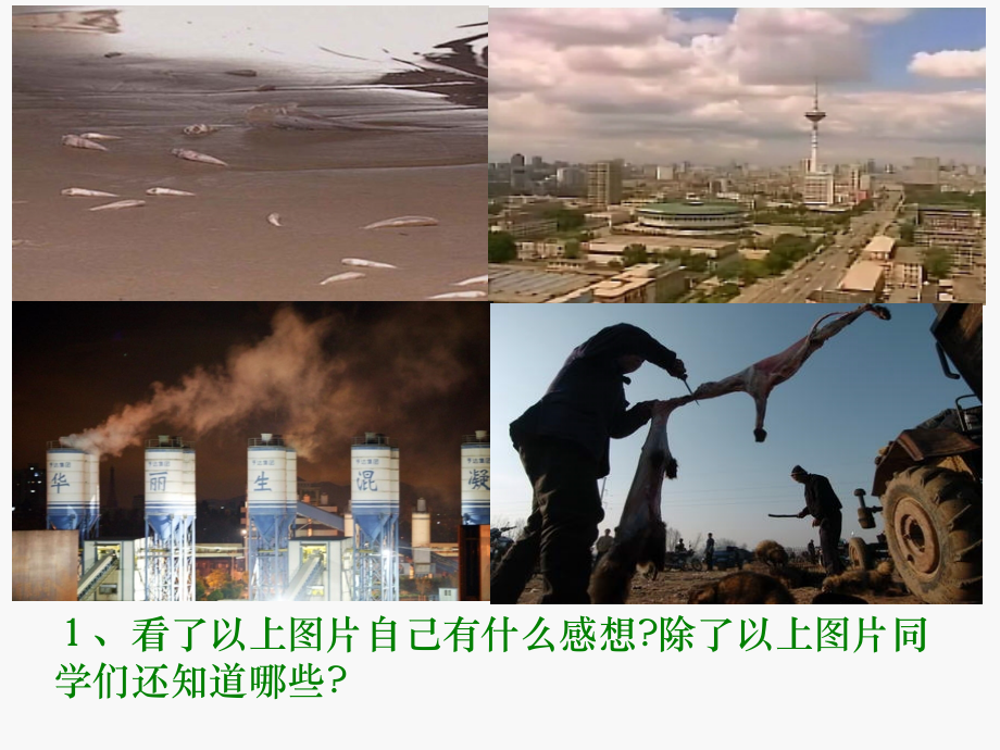 人与大自然的不和谐之音.ppt_第1页