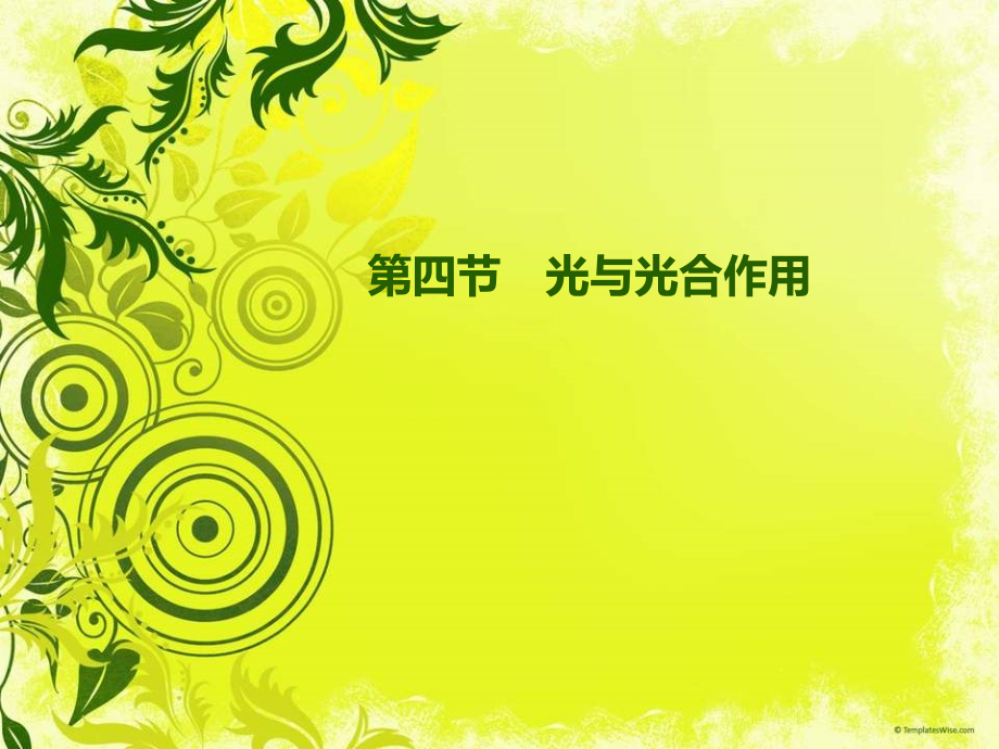 光与光合作用.ppt_第1页