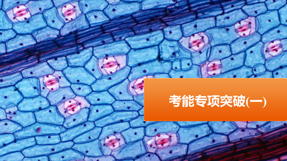 考能专项突破(一).pptx_第1页