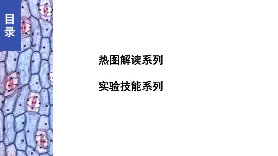 考能专项突破(一).pptx_第2页