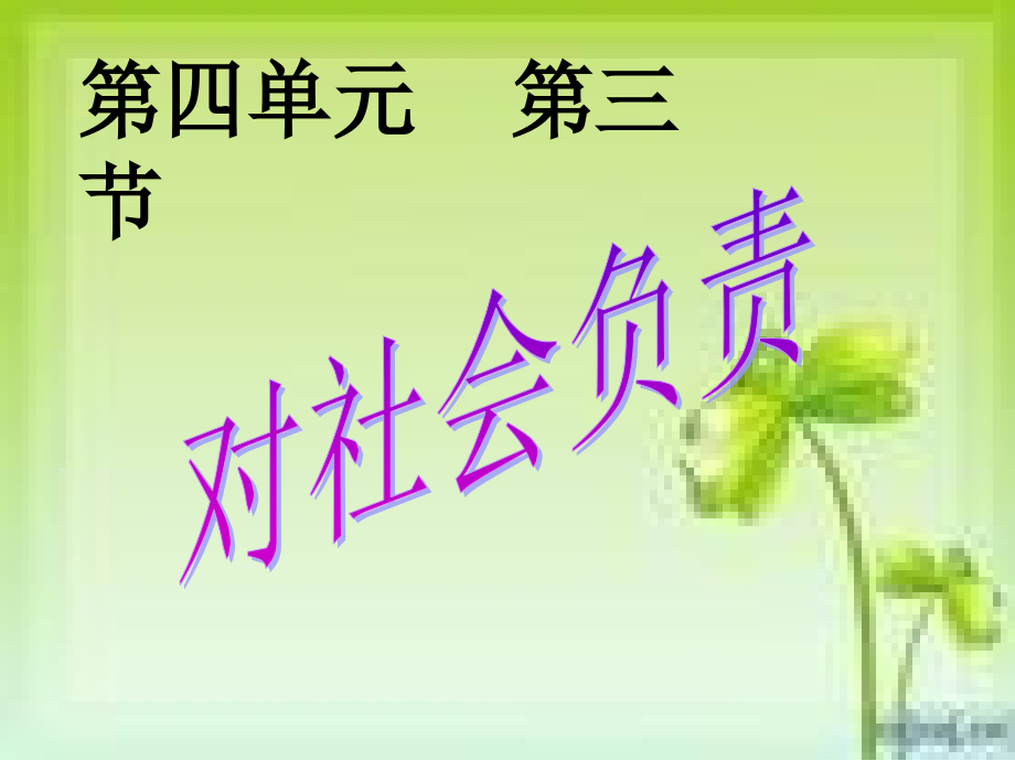 八年级政治对社会负责终极版.ppt_第2页