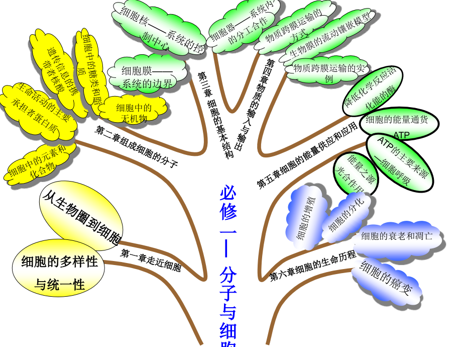 高中生物必修一知识树.ppt_第1页