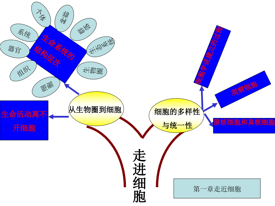 高中生物必修一知识树.ppt_第2页