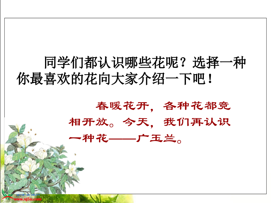 《广玉兰》PPT课件(苏教版六年级语文下册课件).ppt_第2页