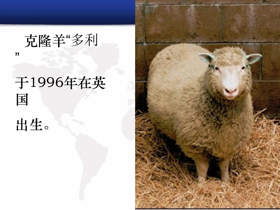 细胞核课件.ppt_第1页