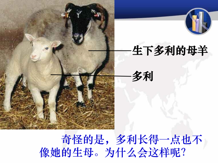 细胞核课件.ppt_第2页