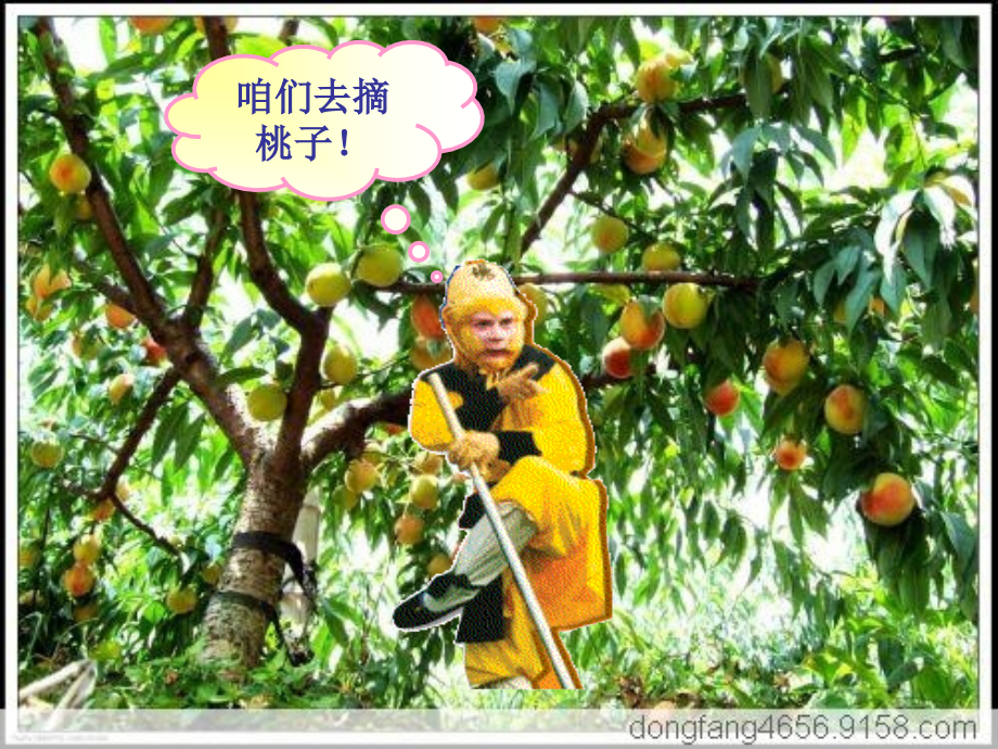 一年级求原来的问题.ppt_第2页