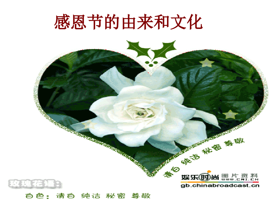 感恩节主题班会课件--感恩世界.ppt_第2页