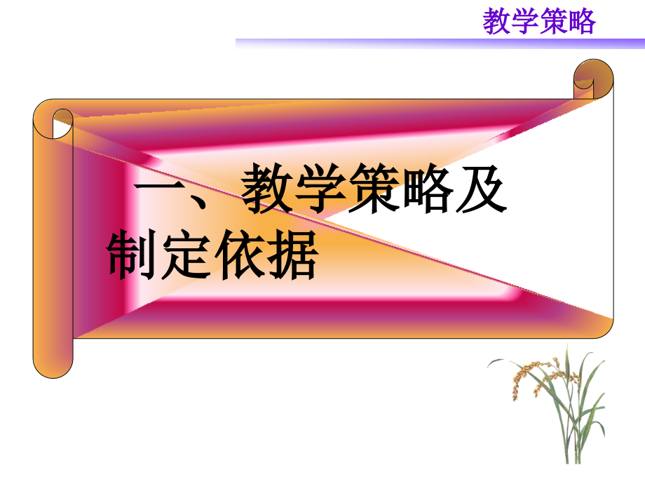 教学主要策略及应用.ppt_第2页