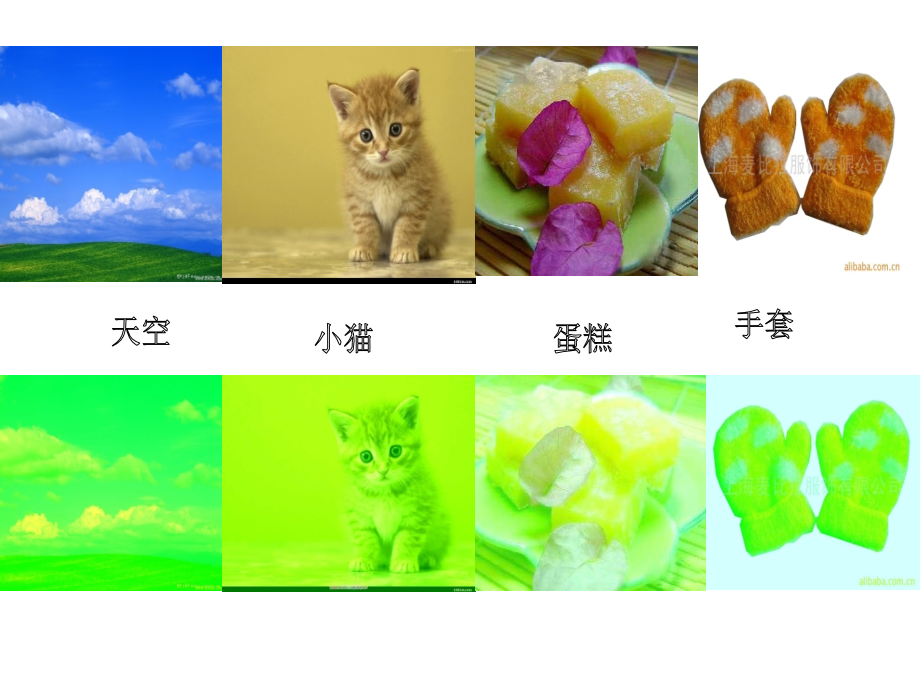 小班语言课件：绿色的世界.ppt_第2页