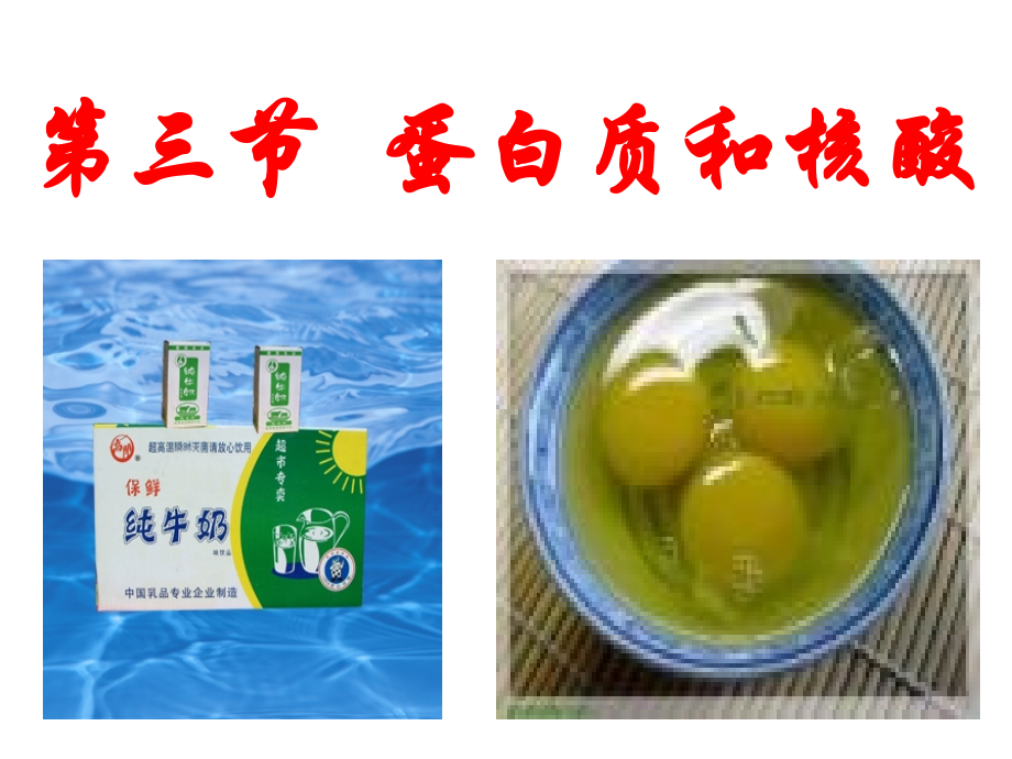 第三节蛋白质和核酸.ppt_第1页