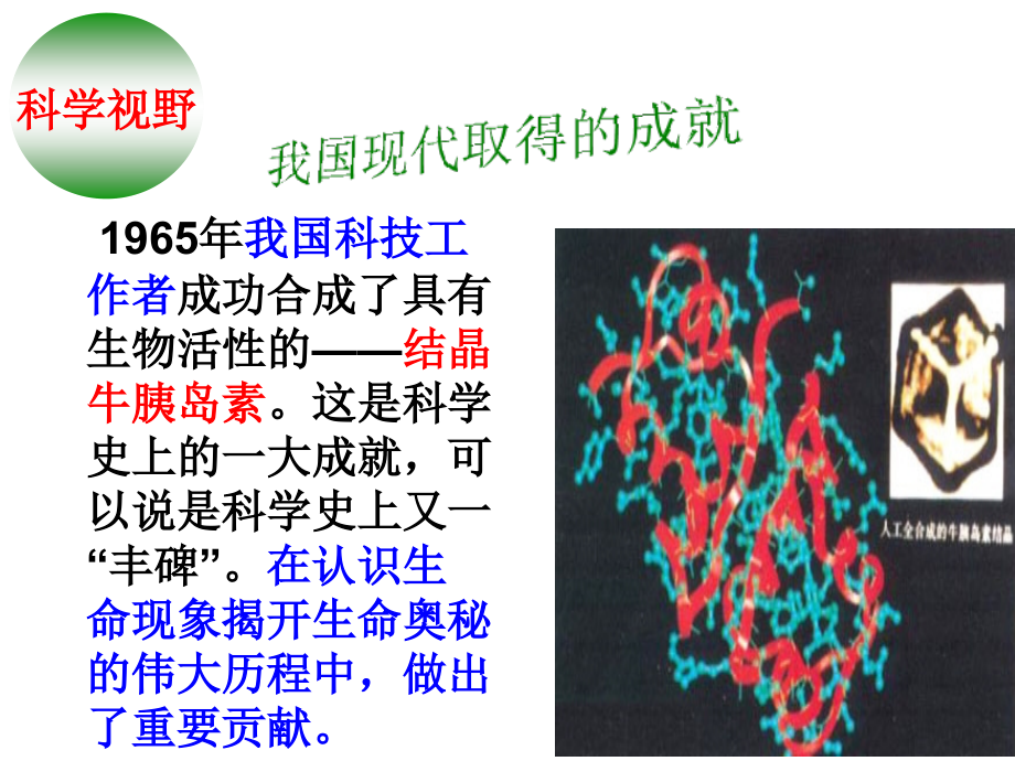 第三节蛋白质和核酸.ppt_第2页