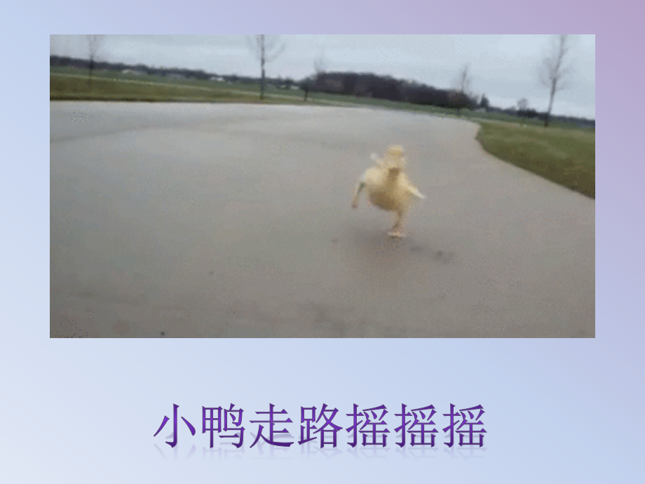 幼儿园小班诗文《走路》.pptx_第2页