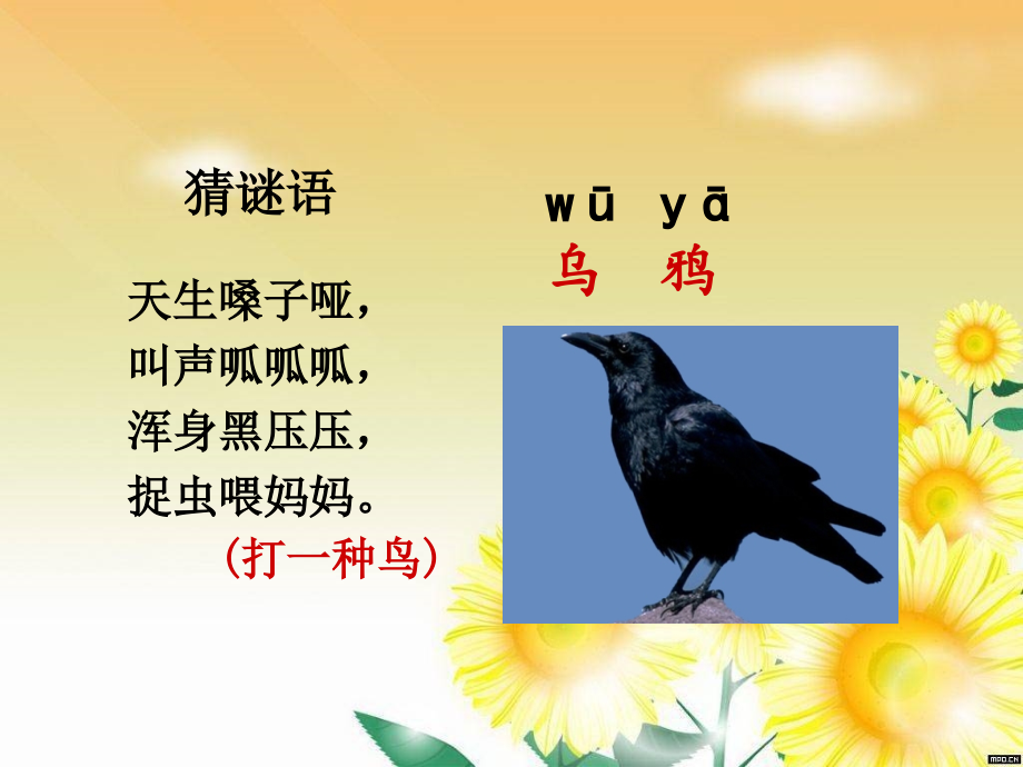 一年级《乌鸦喝水》-.ppt_第1页