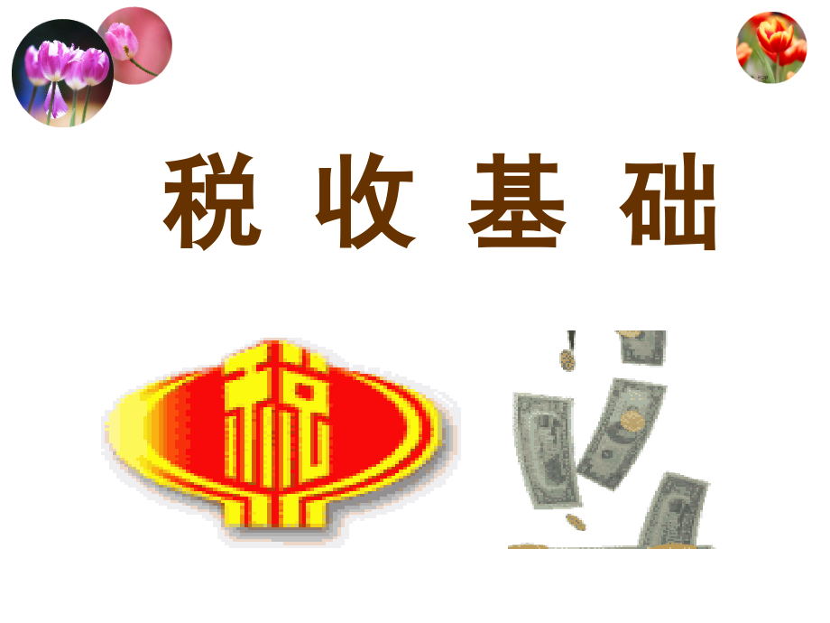 税收基础课件(LY).pptx_第1页
