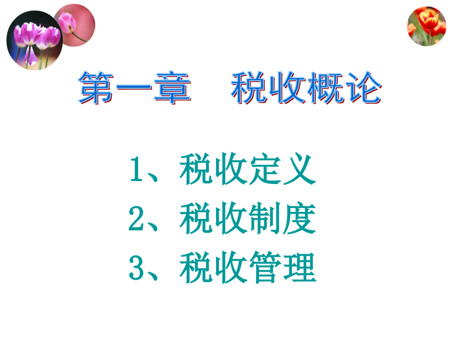 税收基础课件(LY).pptx_第2页