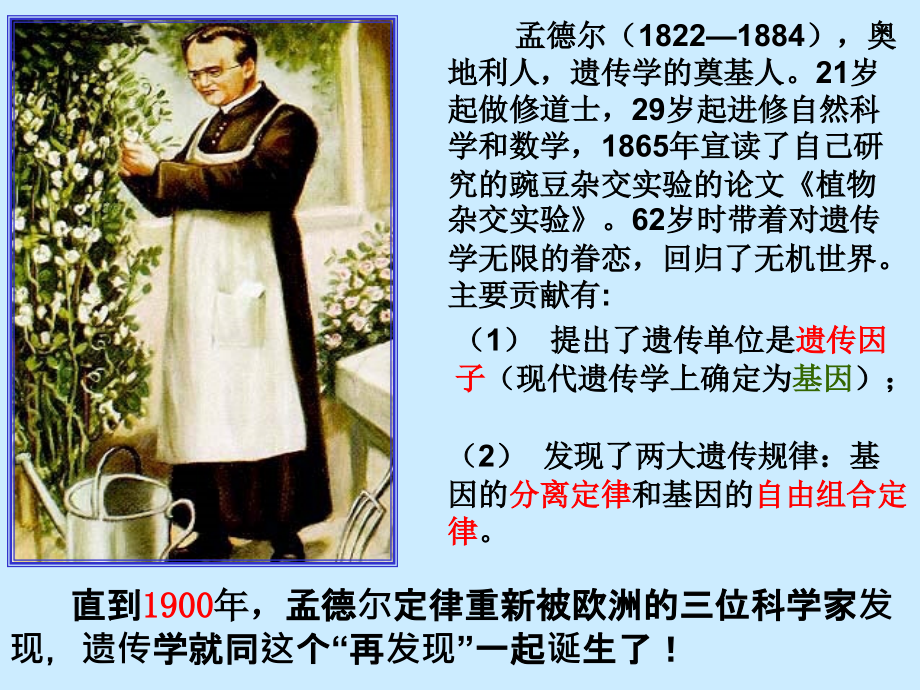 高一生物必修二第一节第一课时.ppt_第2页