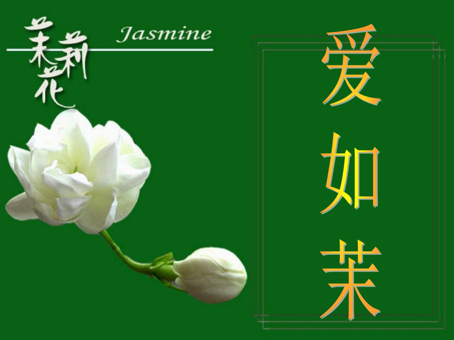 爱如茉莉第一课时.ppt_第1页