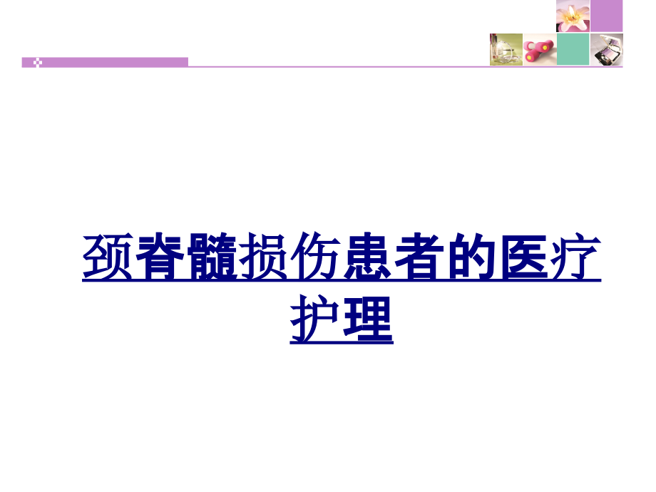 颈脊髓损伤患者的医疗护理.ppt_第1页