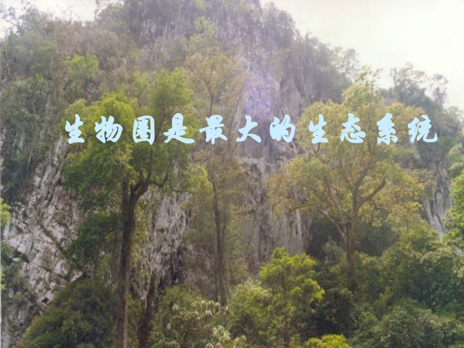 生物：第一单元第二章第三节生物圈是最大的生态系统课件(人教版七年级上).ppt_第1页