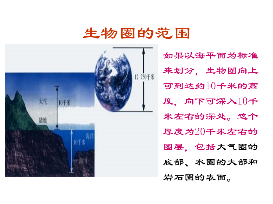 生物：第一单元第二章第三节生物圈是最大的生态系统课件(人教版七年级上).ppt_第2页